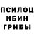 Псилоцибиновые грибы MAGIC MUSHROOMS Ulpian Heritor